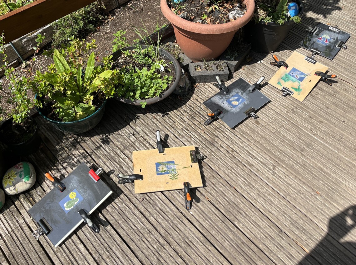 REALITIES August 2025 Newsletter Image credit Jek Mc Allister