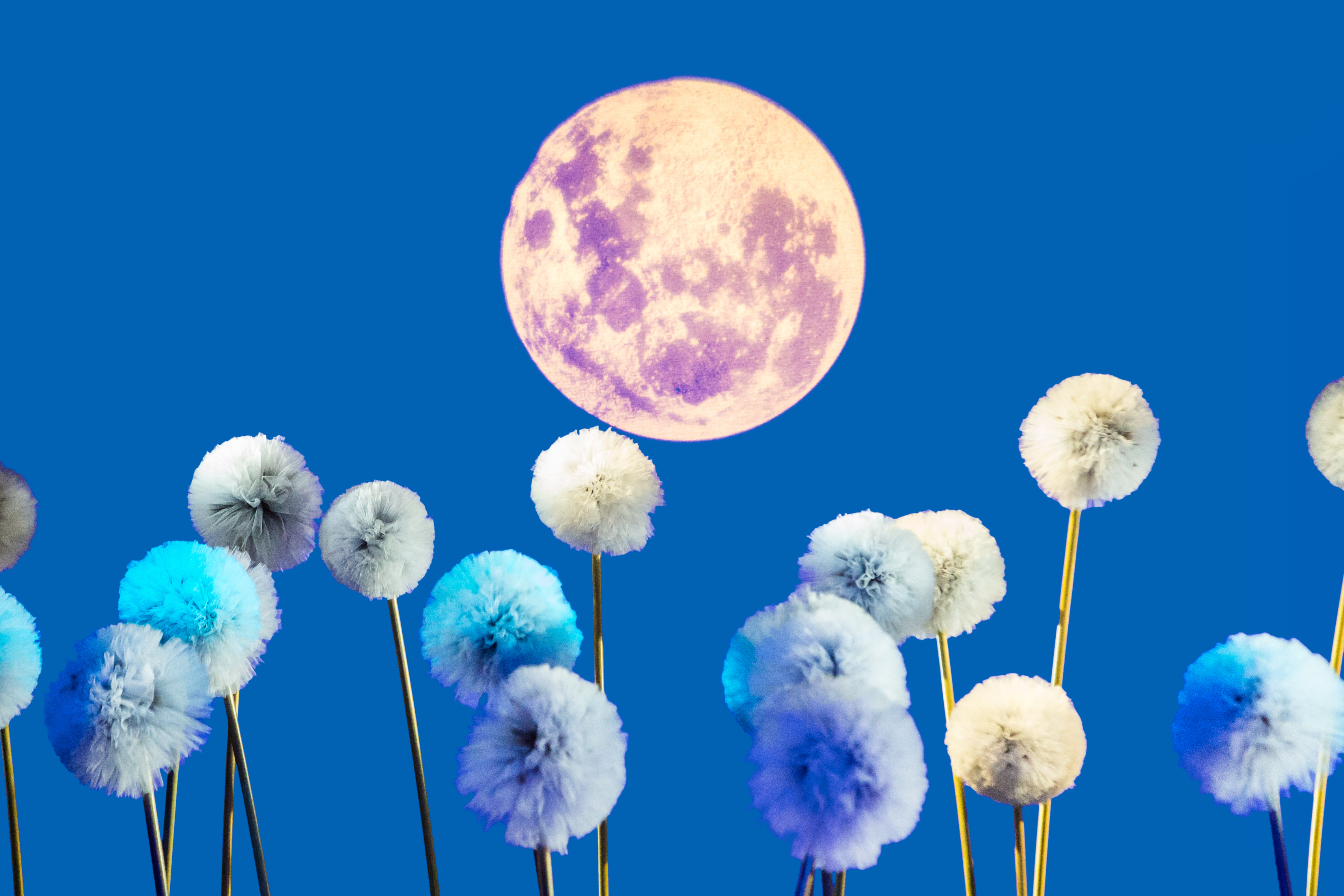 Photography by Karla Gowlett, overall image designed and created by ENO's Breathe in-house designers ©