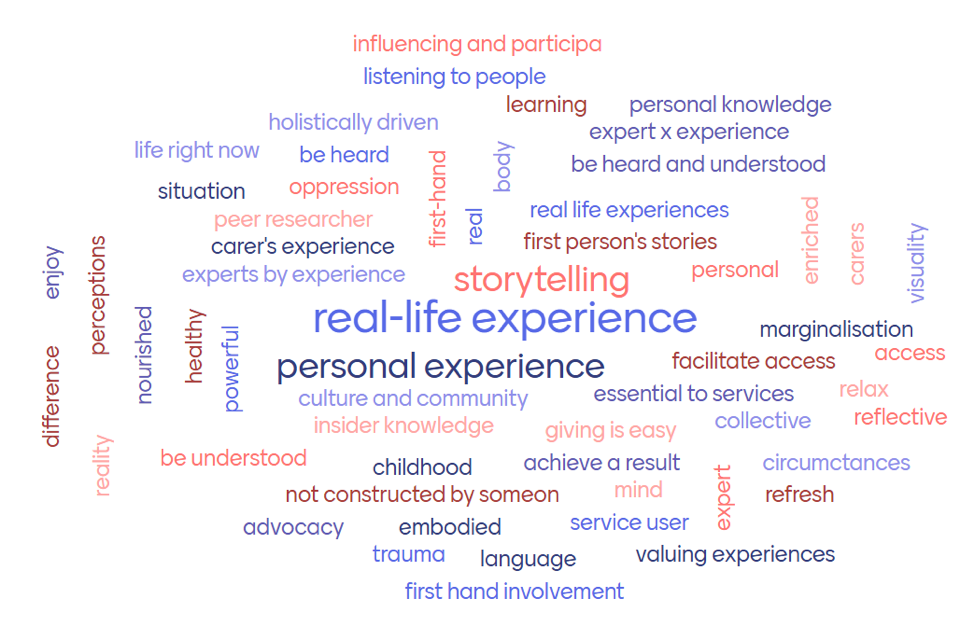 2nd Workshop Word Cloud: What language have you encountered to describe ‘lived experience’?