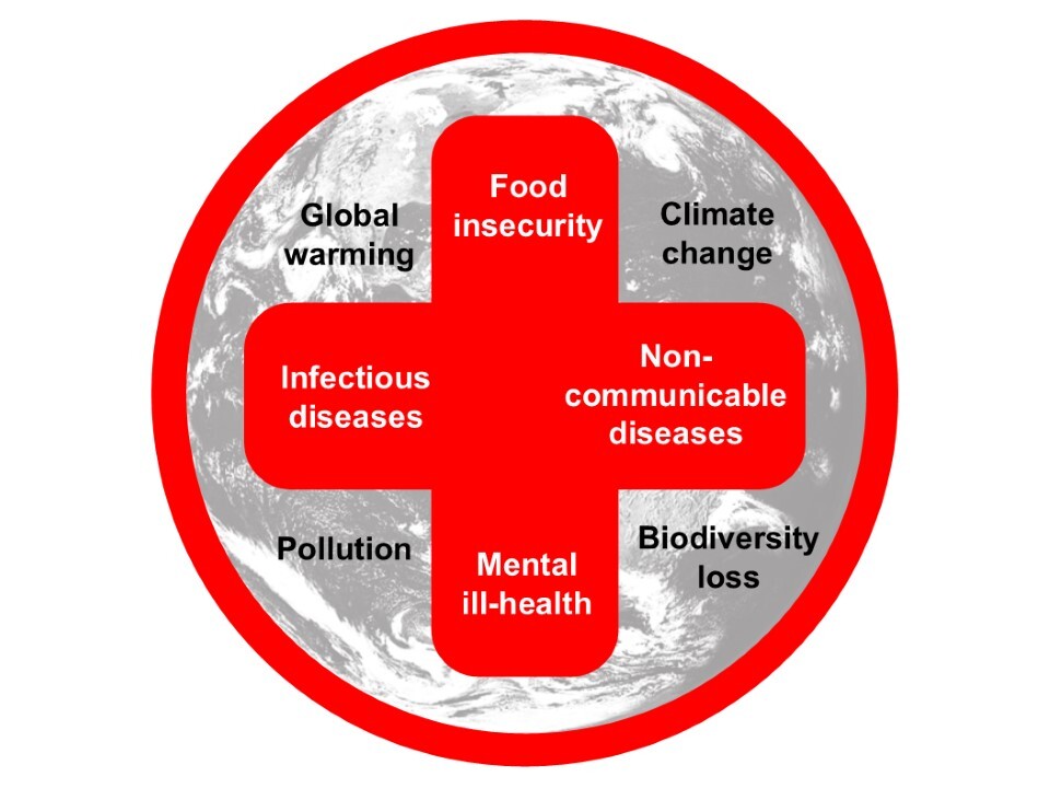 Planetary Health Image LT UCL