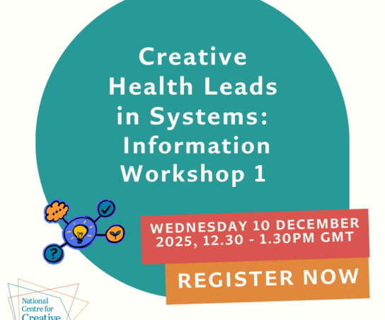 CH Leads in Systems Information Workshop 1 Infographic