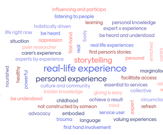 2nd Workshop Word Cloud: What language have you encountered to describe ‘lived experience’?
