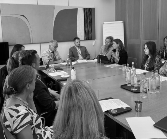 Image of roundtable held by the p_ART_icipate! consortium in collaboration with the All-Party Parliamentary Health Group (APHG)