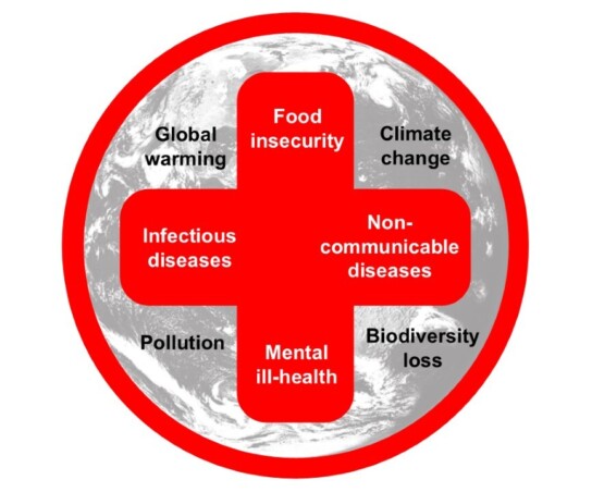 Planetary Health Image LT UCL