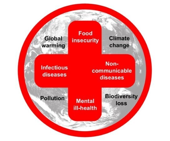 Planetary Health Image LT UCL