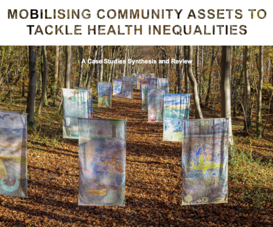 Case study synthesis & review front cover