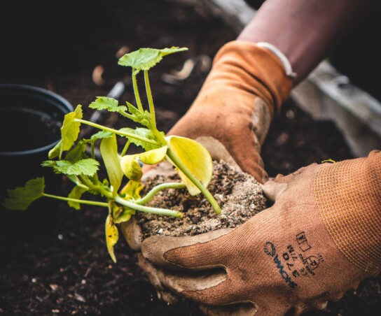 Image by Jonathan Kemper via unsplash