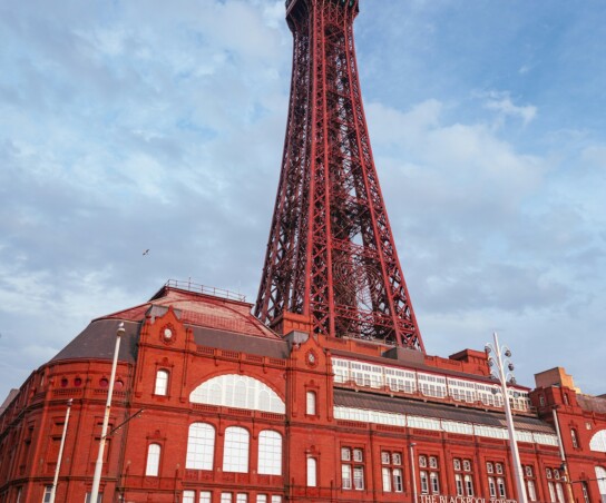 Mark mc neill via unsplash